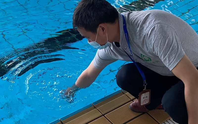 游泳池水質檢測價格